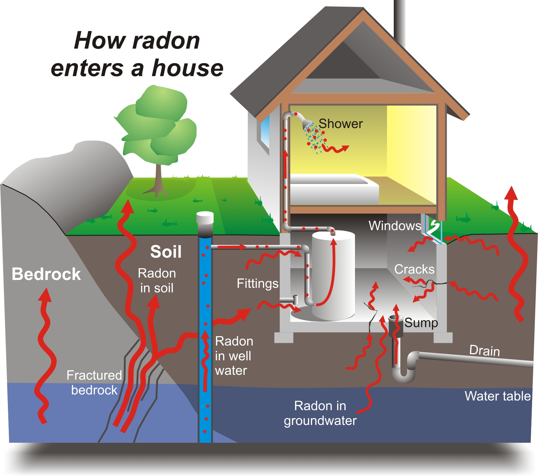 Diagramm, das häufige Eintrittspunkte für Radongas in ein Haus veranschaulicht, wie z. B. Fundamentrisse und Sickergruben. (pembinatrails.ca)