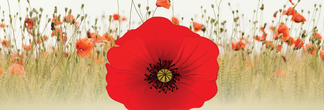 poppy-banner-1100x375.1a271244606.jpg