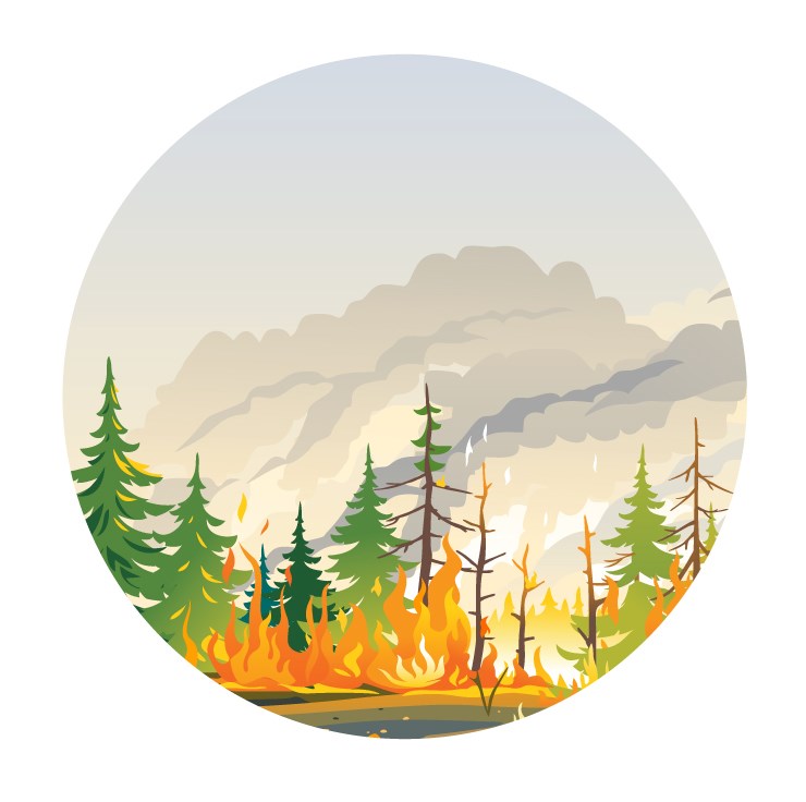wildfire1.21977545739.jpg