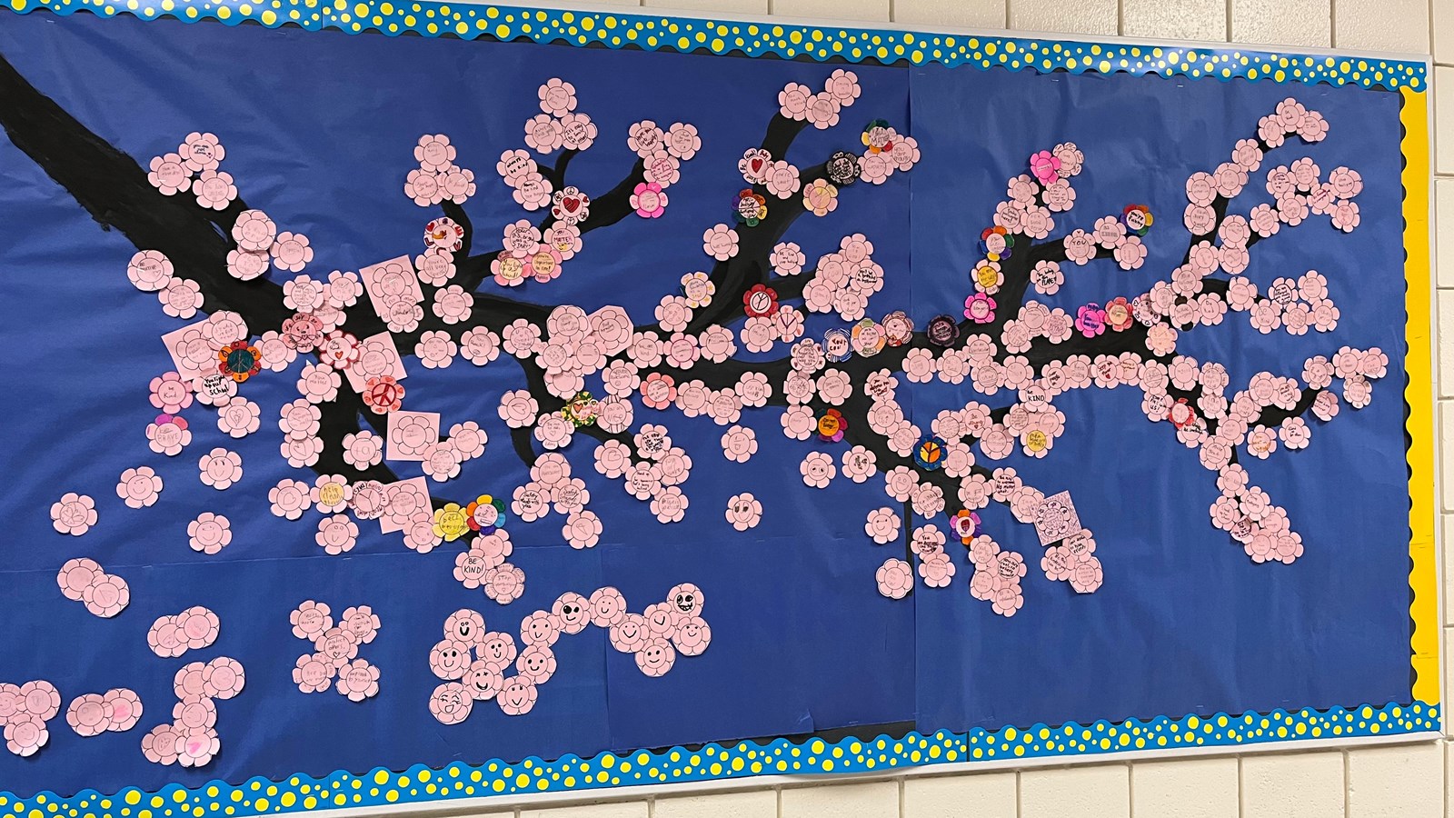 International Day of Pink